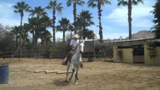 Horseback Riding in Los Cabos Mexico [upl. by Tennaj]