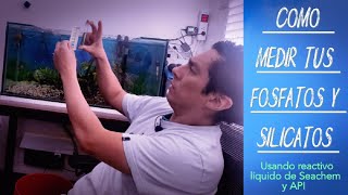 Medir los silicatos y fosfatos en tu acuario correctamente con reactivos liquidos 🐟 AquarioSimplePE [upl. by Udela899]