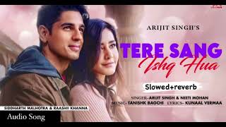 YODHA Tere Sang Ishq Hua slowedreverb Siddharth Malhotra  Rashi Khanna  Arijit Singh  SMLofi [upl. by Blasius930]