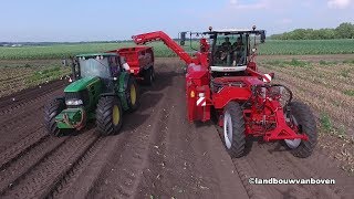 Tulpen rooien 2018  Loonbedrijf Timmermans Smilde [upl. by Pritchard879]