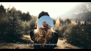 plvtinum champagne amp sunshine slowed down  sped uppichreverb Remix by me TikTok Song [upl. by Ennoved]