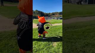 Mascot on the field baseball playoffgame ￼mascot aaubaseball rhodeisland [upl. by Aidiruy]