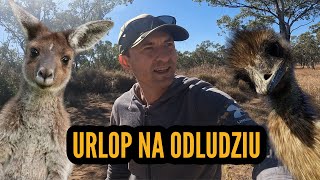 AUSTRALISJKIE ODLUDZIE OUTBACK  EMU KANGURY I DZIOBAKI NA TRASIE [upl. by Oelak]