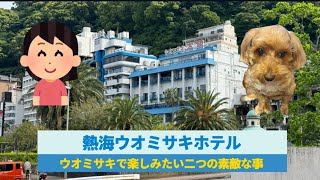 【熱海ウオミサキホテル】ウオミサキで楽しみたい二つの素敵な事高張性温泉と時事刻々と変わる風景熱海ラーメン千寿 [upl. by Yaral]