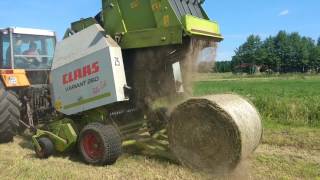 Claas Variant 260 RC  Renault 13314 [upl. by Rutra]