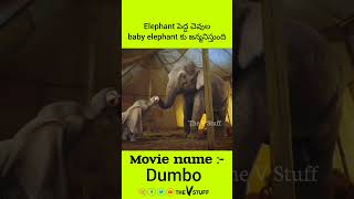 ⚡ a elephant give birth to a big ears baby elephant ⚡ shorts shortvideo trending facts movie [upl. by Morganstein104]