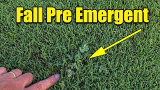 Spring Lawn Tips  COOL SEASON  Tall Fescue Ryegrass Kentucky Bluegrass  Nitro Boost [upl. by Jeri]