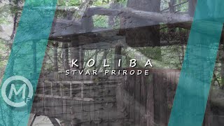 Koliba  Stvar prirode [upl. by Oisacin]