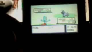 Finally Shiny Treecko [upl. by Letitia]