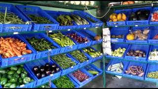 Nice vegetable shop in Bangalore [upl. by Anaujd]