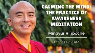 Mingyur Rinpoche  Calming the Mind The Practice of Awareness Meditation [upl. by Zoa]