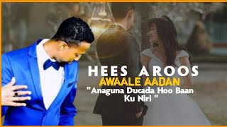 CAWAALE AADAN HEES AROOS HUBQAAD  4k lyrics [upl. by Ferino42]