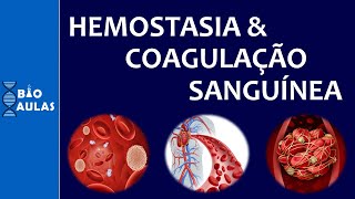 Hemostasia e Coagulação Sanguínea Atuação das Plaquetas e a Cascata de Coagulação [upl. by Hochman]