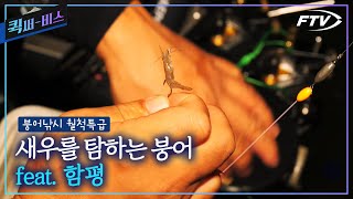 Full퀵써비스함평의 준계곡형 저수지에서 새우낚시를 즐기다붕어낚시 월척특급861회 [upl. by Fiedling]