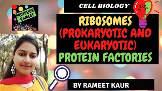 Ribosomes  CSIRUGC NET Life Science  GATE  DBT [upl. by Elene]