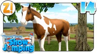 HorseWorld Springreiten Mein Araber Indigo 14  Lets Play DEUTSCH [upl. by Aivalf]