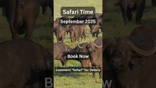 11 Days in Tanzania Photo Safari Adventure [upl. by Alad759]