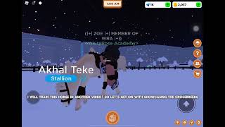 NEW Akhal Teke in Horse Valley  Roblox  Horse Valley [upl. by Archangel131]