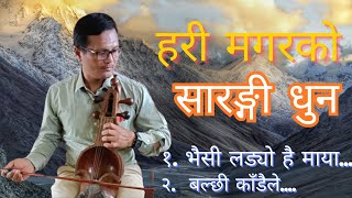 सारङ्गी धुन  Sarangi Dhoon  Hari Magar  हरि मगर  Balchhi Kadaile  Bhaisi ladyo hai maya [upl. by Michel]