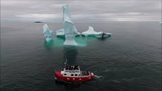 Icebergs and tour boat in Bonavista Bay NL [upl. by Meehsar]