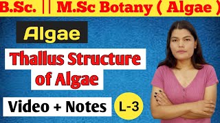 Thallus structure of algae  MSc Botany  BSc 1st year Botany [upl. by Calore]