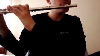 Misirlou Flute Cover [upl. by Amri]