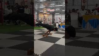 Planche transformation ⚡ viralvideo calisthenics [upl. by Lemhaj789]