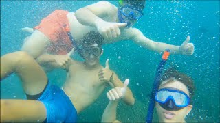 Snorkeling in TABARCA Island  Summer Trip [upl. by Ordep]