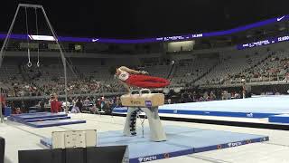 Fuzzy Benas  Pommel Horse  2024 Xfinity US Championships  Senior Men Day 2 [upl. by Vaios]