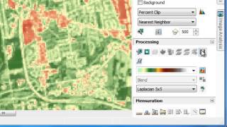 NDVI in ArcGIS [upl. by Willms335]