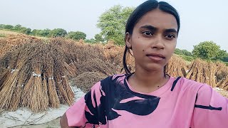 tilli ki kheti vlogchannel bloggerlifestyle viralvideos MissNavya0 blogging viralnews [upl. by Waechter]