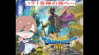 【ドラゴンクエスト３】【ネタバレあり】＃ 3 砂漠の町のムフフな体験【Vtuberねこまつ】 [upl. by Atsyrhc414]