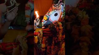 Mo Jaga Kalia Re shorts youtubeshorts trending viralshorts odiabhajan jagannath [upl. by Vicki]