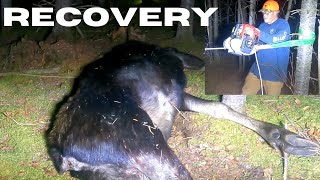 Late Night Moose Recovery with Portable Capstan Winch [upl. by Perry]