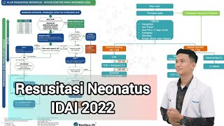 Alur Resusitasi Neonatus IDAI  2022 [upl. by Aynatahs]