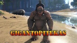 GIGANTOPITEPICUKAS  Ark Survival Evolved [upl. by Netnilc]