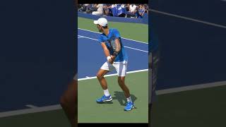 Novak Djokovic Backhand Slow Motion [upl. by Suivatal]