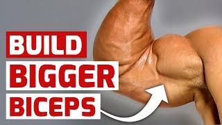 5 Arm Workout Hacks for Bigger Biceps [upl. by Tynan]