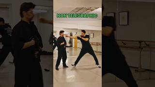 NON TELEGRAPHIC ATTACK jeetkunedo brucelee martialarts [upl. by Allit670]