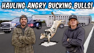 We Brought ANGRY PBR Bulls to A Small Town Rodeo [upl. by Tamas]