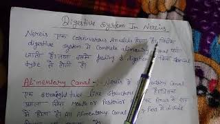 Bsc 1year zoology higher nonchordata digestive system of nereis [upl. by Assenal]