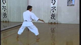 Gojushiho Sho  Efthimios Karamitsos  Karate  Kata  Shotokan [upl. by Luapleahcim]