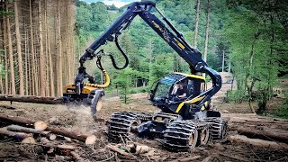 Dangerous Ponsse Scorpion King In Action Logging amp Sawmilling Ponsses Scorpion harvester FINLAND [upl. by Asare]