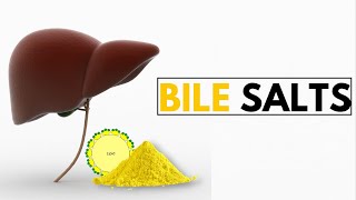 The Shocking Truth About Bile Salts and Your Digestive Health [upl. by Edgell]