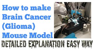 Xenograft Glioma Mouse Model Brain Cancer Model  Research Technique  Dr Abi Greek [upl. by Bigner]