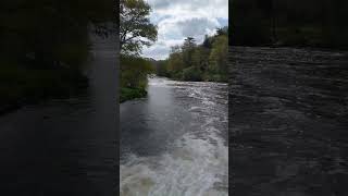 Blavet River in France WaterWednesday [upl. by Ecnerrot]