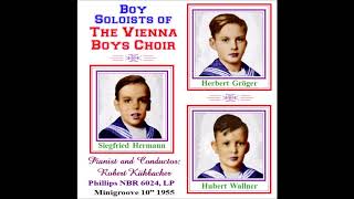 The Vienna Boys Choir  Jugend  1955 [upl. by Dunkin23]