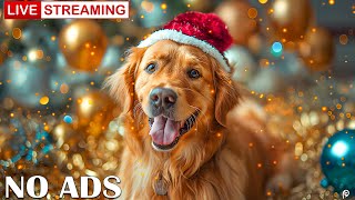 🔴 12 Hours of Healing Music for Dogs 🦮 Dog Relaxing Music for Stress Relief 🐶 Dog Anxiety Music💖 [upl. by Niven]