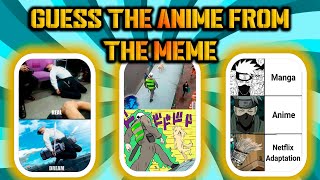 GUESS THE ANIME FROM THE MEME  EASY QUIZY [upl. by Liggett996]