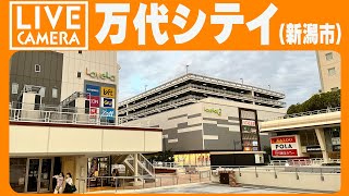 【LIVE】新潟万代シテイ交差点 ライブカメラ＜BANDAI CITY NIIGATA LIVE CAMERA＞ [upl. by Almire161]